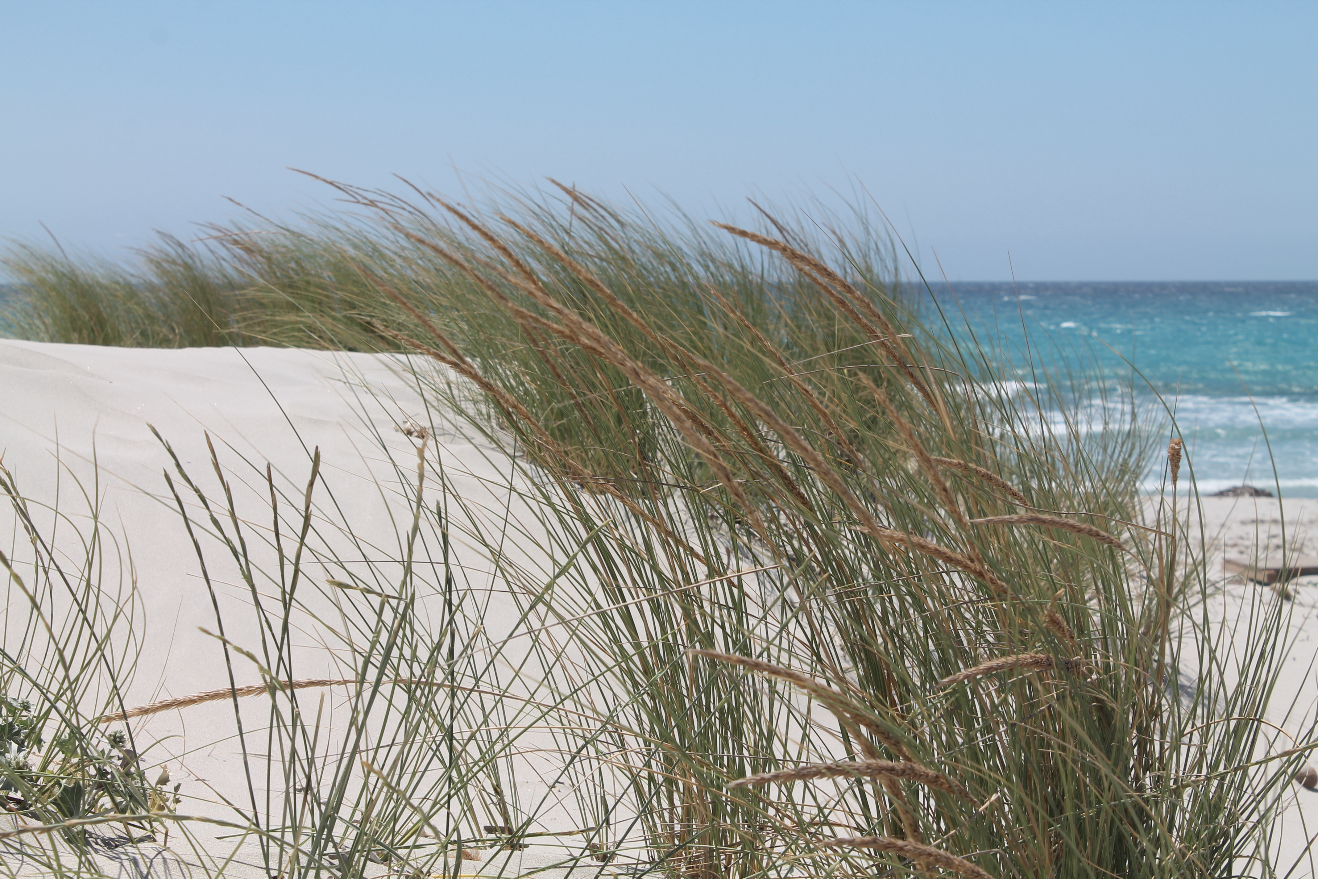 Is Arenas Biancas, dune e bagni senza fine