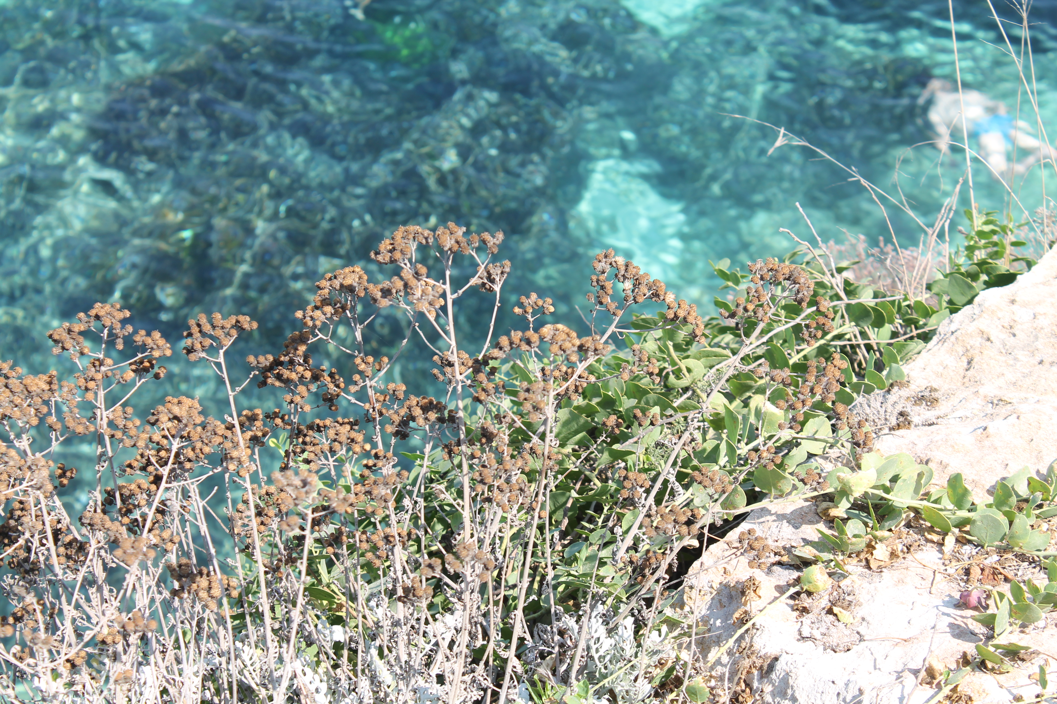 Favignana…cicloturisti per caso