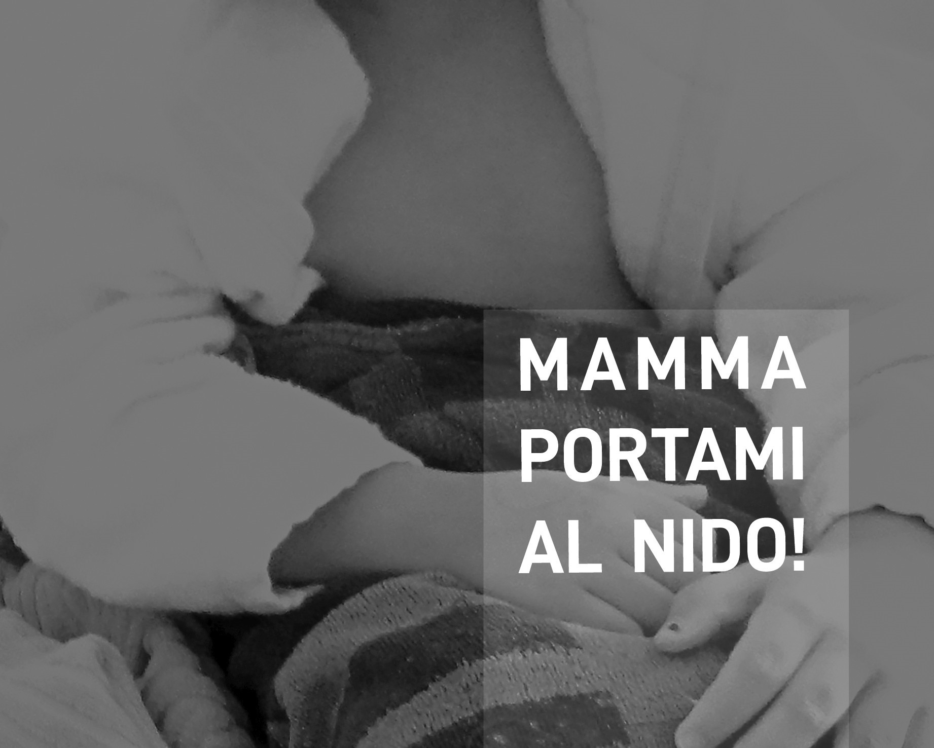 “Mamma portami al nido”! Dialogo con l’autrice Laura Branca