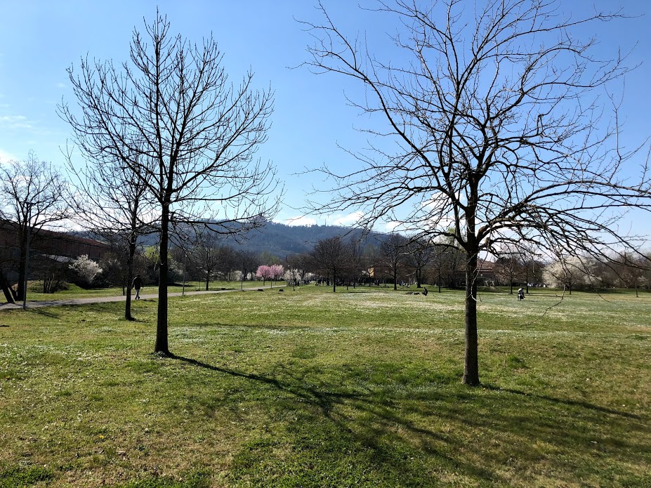 Andremo al parco