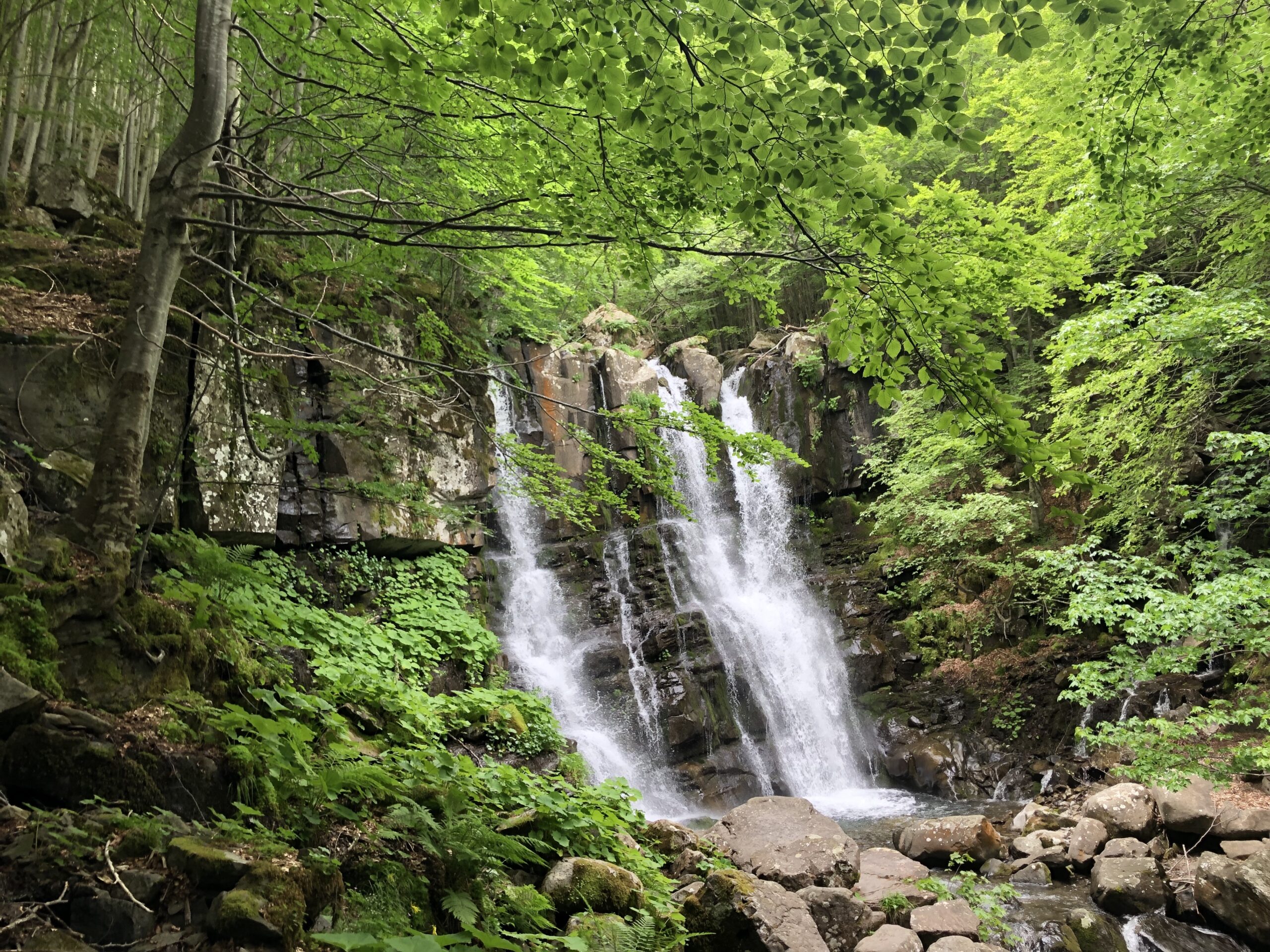 Le cascate del Dardagna